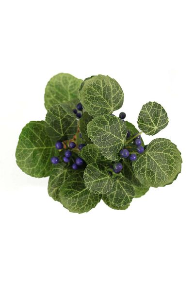 Ella Home Italia Ghiveci Cu Flori Artificiale, Forest, Verde, Plastic, 24cm
