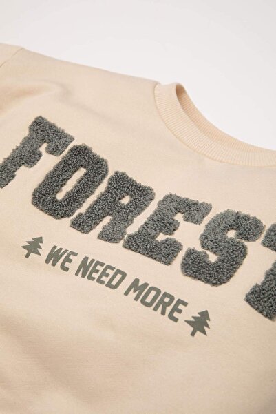 DeFacto Baby Boy 2 Piece Set Printed Crew Neck Sweatshirt Elastic Waist Jogger Sweatpants D5643A524Wn