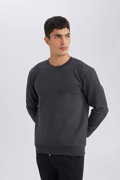 DeFacto Regular Fit Bisiklet Yaka Jakarlı Sweatshirt D5394AX24AU