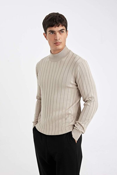 DeFacto Standard Fit Normal Schnitt Halber Rollkragen Jacquard Strickpullover D2943AX24AU