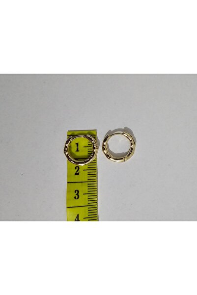 Zivazer Store Kadın çelik kararmaz xuping minik halka küpe