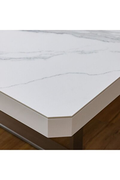 Danube Home Morch Square Coffee Table - White & Brushed Silver - Modern Wood Design with 2-Year Warranty