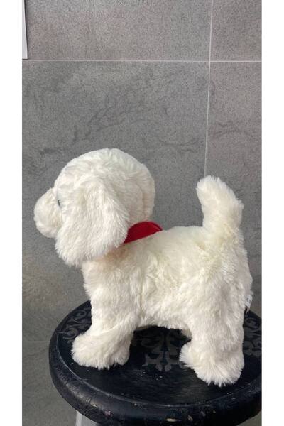 Magicway Müzikli Yürüyen Havlayan Yalayan Kuyruk Ve Başını Sallayan Ses Kaydı Yapan Pilli Peluş Köpek