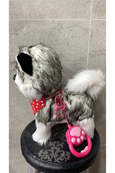 Magicway Müzikli Yürüyen Havlayan Yalayan Kuyruk Ve Başını Sallayan Ses Kaydı Yapan Pilli Peluş Köpek