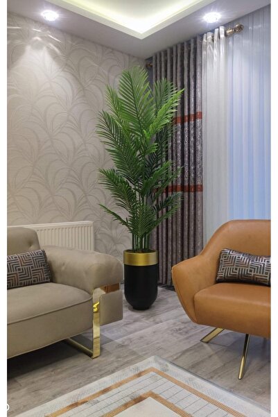 İremÇiçekçilik Areka ağacı