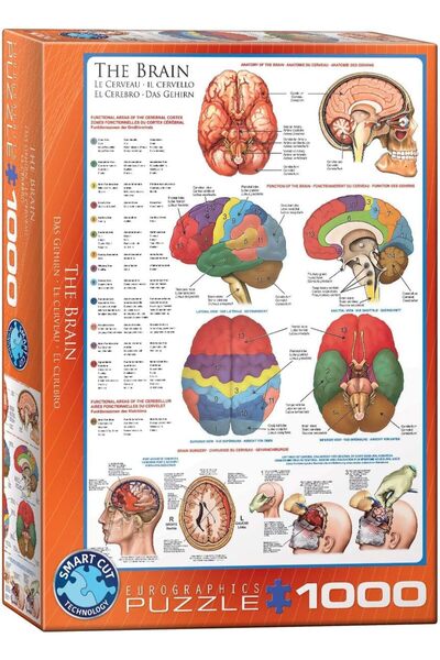 Eurographics لغز الدماغ 6000-0256، 1000 قطعة