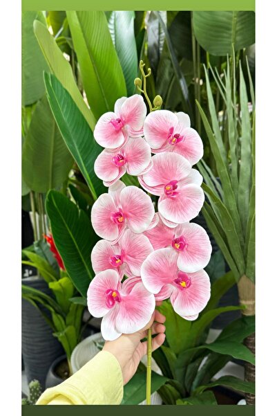 KOZALILAR Yapay Çiçek Islak Dokulu Tek Dal Orkide