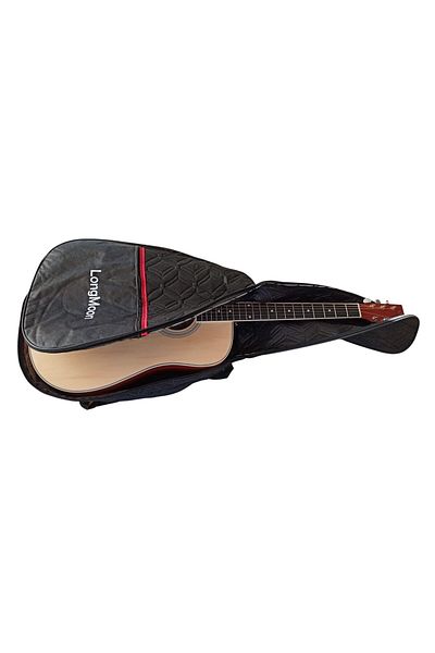 LongMoon Bs200A Acoustic Guitar Case Fiber