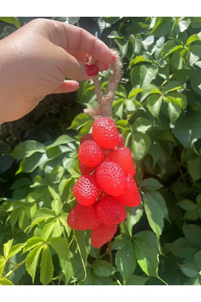 MHYSSA naturals صابون الصنبور الطبيعي المصنوع يدويًا (الفراولة)