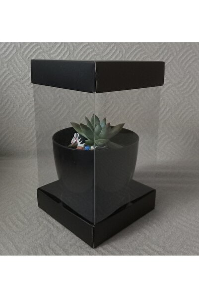 BOXSTATION 12x12x20 Siyah/Beyaz Üst ve Alt Tabanlı Asetat Kutu 5 Adet