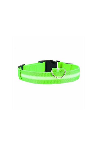 Carsons Zgardă pentru câini cu LED USB reîncărcabilă, mărimea S, reglabilă, verde