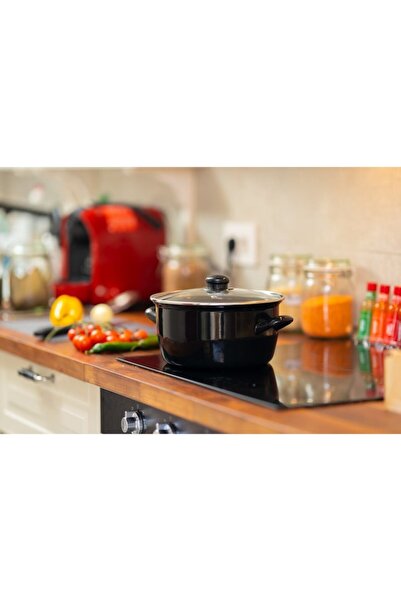 OEM Frying Pot with Glass Lid and Frying Basket, 24 cm, 3.90 L, Grunberg GR4424