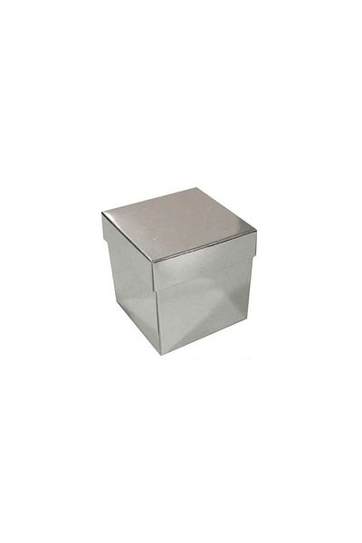 TT Tahtakale Toptancıları Complete Cardboard Box Solid Color 7X7X7 cm (25 Pieces) Silver