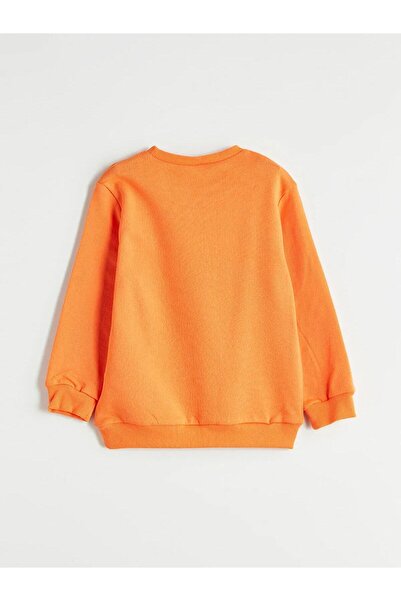 LC Waikiki LCW Παιδικό φούτερ με στάμπα για αγόρια 2 τεμαχίων (W5)