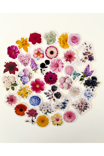 Studio D arte DIY KIT Renkli Çiçek Sticker Set Bullet Journal Ajanda Hediye P...