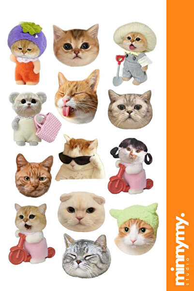 Minnymy Komik Kedi, Kediler, Funny Sticker, Çıkartma, Ajanda, Günlük, Planlay...