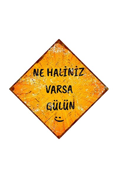Hayg Equipment Ne Haliniz Varsa Gülün – Komik Sözlü Metal Tabela – Retro Alüm...