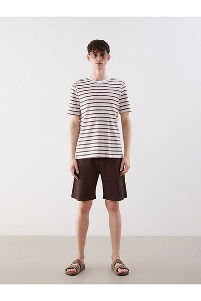 LC Waikiki Xside Crew Neck Striped Men's T-Shirt