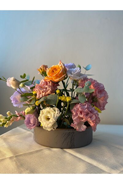 Nova Elite Bonsai Kaktüs Çiçek Aranjman Saksısı