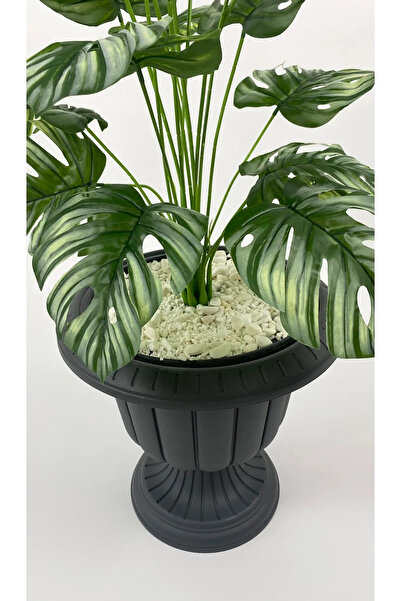 POLİVAHOME Nergis Ayaklı Plastik Saksı Antrasit 19,5x15x19 Cm 1,5 Litre