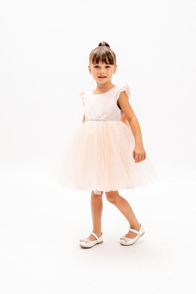 Eray Kids Girls' Tulle Evening Dress Butterfly Sleeves Stone Detail Satin Puffy Birthday Dress 3-6 Years