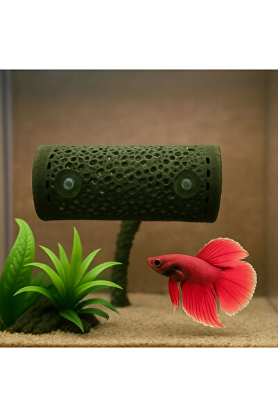 Akvaryum Beta Dinlenme Alanı ( Haki Yeşili ) Beta Tüneli Beta Üretim Tüpü Bet...