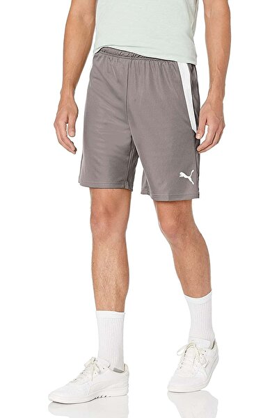 Puma 704924 Teamliga Shorts Men's Football Shorts Gray