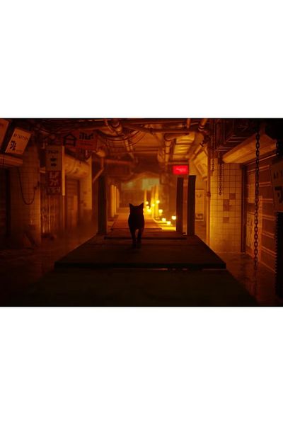 annapurna Stray - PlayStation 4 (PS4)