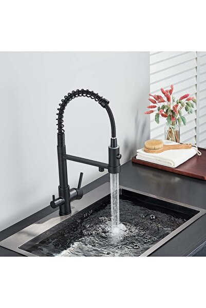 CasaVie Professional kitchen faucet, with flexible shower, filtered water spout, matte black, code 1657