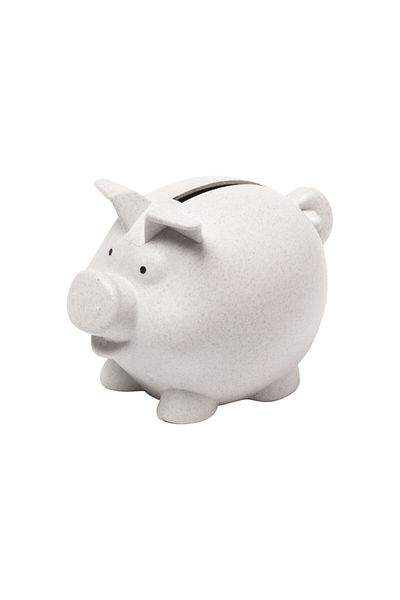 Natural Bamboo Piggy Bank