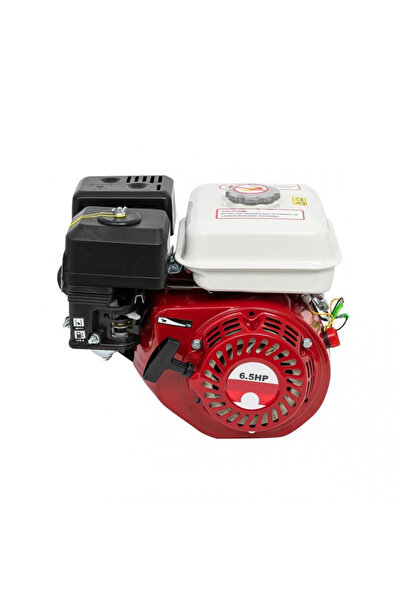 EURO Motor termic Campion Industrial pentru Utilajele Agricole, 6.5 CP, Rosu,...