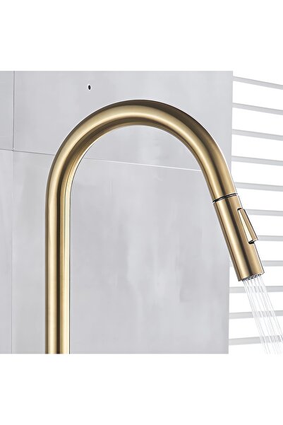 Rain Drop De la Robinetul Meu Baterie cu dus extractibil pentru bucatarie, auriu nichelat