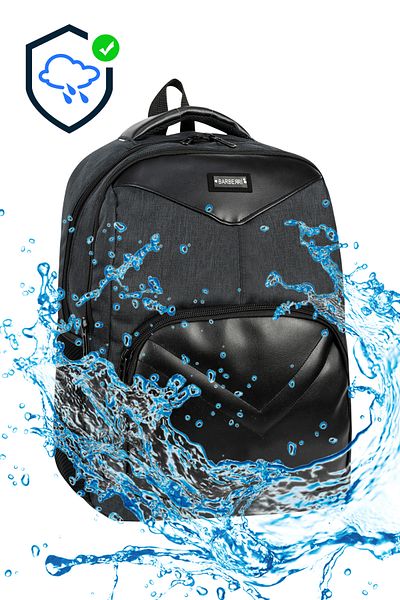 barberri Licensed Waterproof Fabric Unisex School Backpack