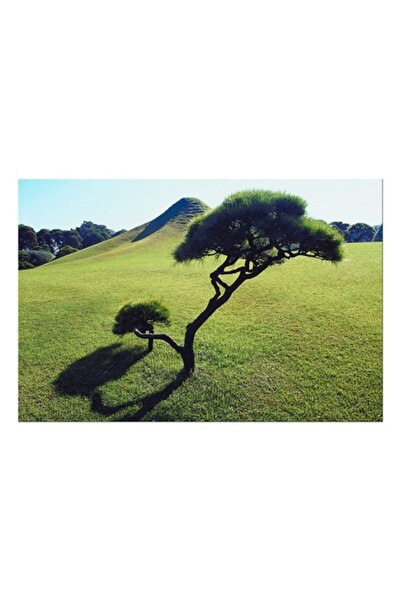 OEM Tablou Canvas, "Colina pajistilor sub cer senin", Copac, Umbre, Deal, Iar...