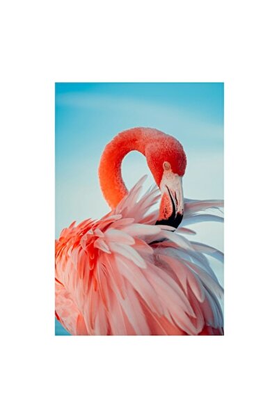 OEM Pictură pe pânză, „Flamingo în reflexia apei albastre”, roz, elegantă