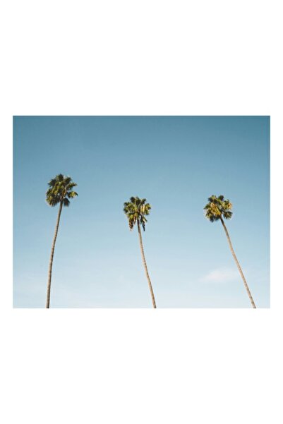 OEM Pictură pe pânză, „Trei palmieri sub cerul senin”, liniștit, albastru