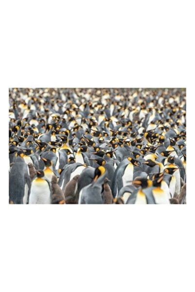 OEM Pictură pe pânză, „Regatul Pinguinilor pe Gheața Sudială”, Pinguini, Mulț...