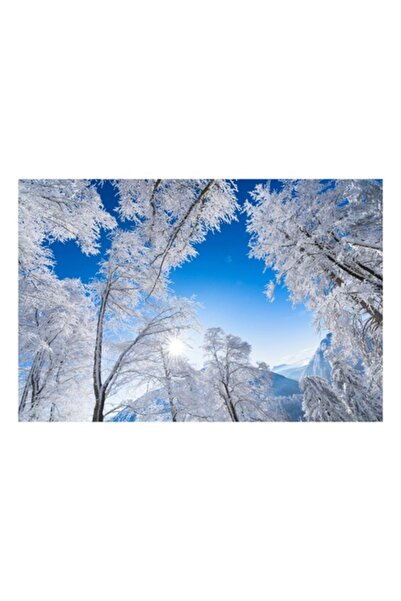 OEM Tablou Canvas, 'Stralucirea iernii sub cer senin', 70 x 50cm