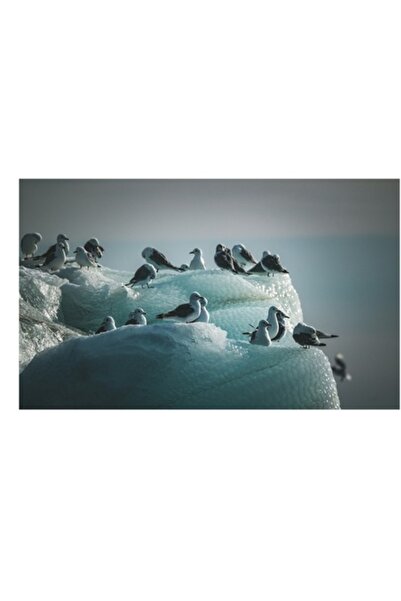 OEM Pictură pe pânză, „Păsări care se odihnesc pe blocuri de gheață”, 39 x 26 cm