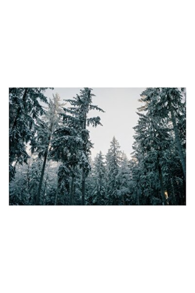 OEM Pictură pe pânză, „Pădure înghețată la apus”, 100 x 70 cm