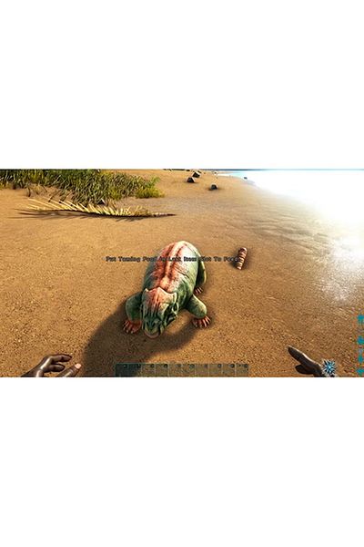 STUDIO WILDCARD Ark Survival Evolved Region 2 (Intl Version) - Adventure - PlayStation 4 (PS4)