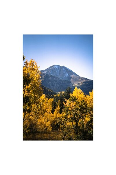 OEM Tablou Canvas, "Munte invelit in aurul toamnei", Munti, Copaci, Toamna, Frunze, Aurii, Cer, Albastru