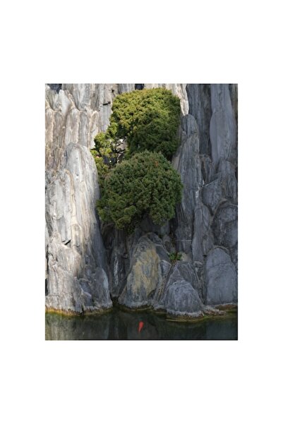 OEM Pictură pe pânză, „Armonia naturii în grădina Zen”, roci, copaci, apă, reflecție, peisaj, sere