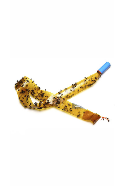 Genel Markalar Sinek ilacı 10’lu Sinek Böcek Kovucu / Tutucu Yapışkan Asılabi...