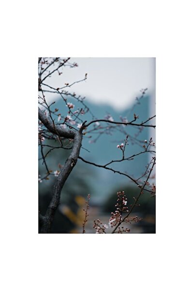 OEM Pictură pe pânză „Flori de primăvară pe ramuri delicate”, 50 x 90 cm