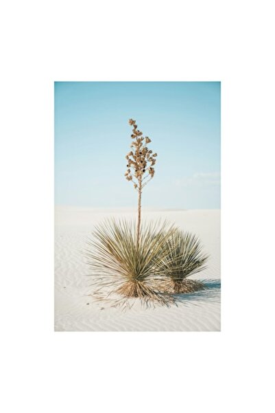 OEM Tablou Canvas, 'Solitar in desertul alb nesfarsit', 50 x 90cm