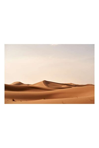 OEM Tablou Canvas, "Exercitiul linistii in desert", Dune, Nisip, Caldura, Lin...