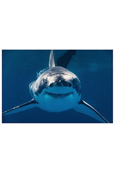 OEM Tablou Canvas, "Intalnire cu rechinul alb mare", 90 x 50cm