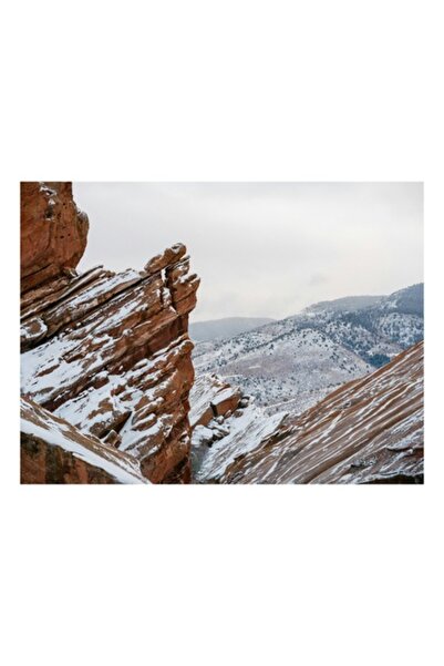 OEM Tablou Canvas, Premium, Panza Bumbac, Sasiu Lemn