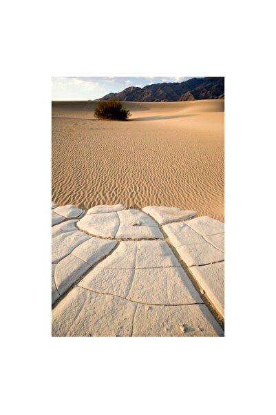 OEM Pictură pe pânză, „Căldură arzătoare în vastul deșert”